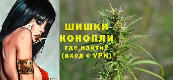 ПСИЛОЦИБИНОВЫЕ ГРИБЫ Арсеньев