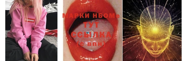 ПСИЛОЦИБИНОВЫЕ ГРИБЫ Арсеньев