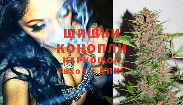 ПСИЛОЦИБИНОВЫЕ ГРИБЫ Арсеньев