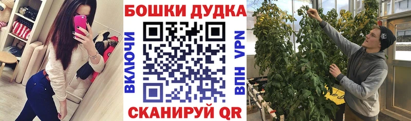 Каннабис индика  купить наркотик  блэк спрут вход  Тырныауз 